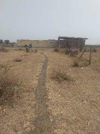  Agricultural Land for Sale in Bhel Nagar, Ayodhya Bypass, Bhopal