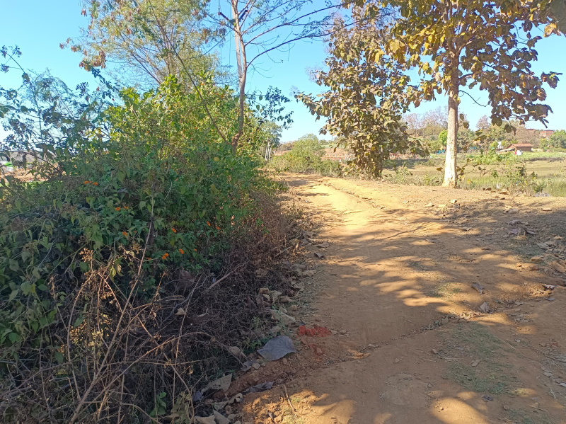  Agricultural Land 4 Acre for Sale in Panagar, Jabalpur