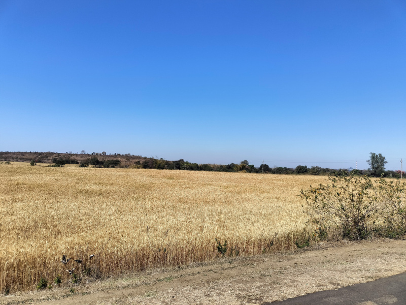  Agricultural Land 6 Acre for Sale in Lakhnadon, Seoni