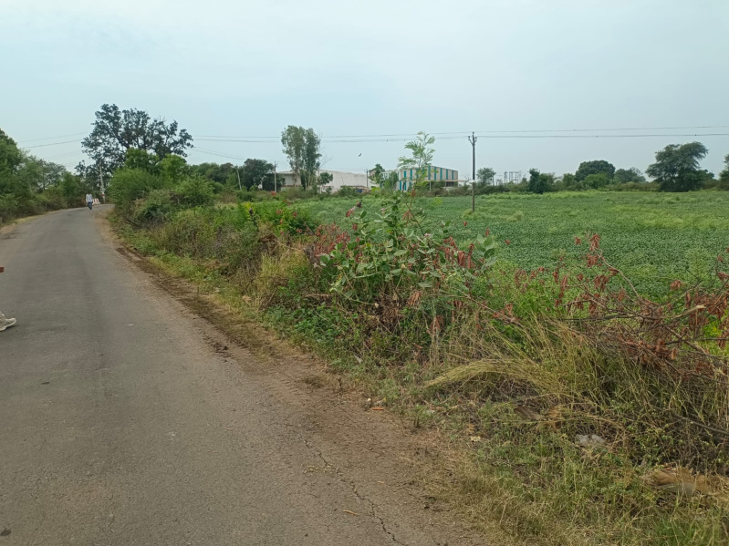  Agricultural Land 5 Acre for Sale in Shahpura, Jabalpur
