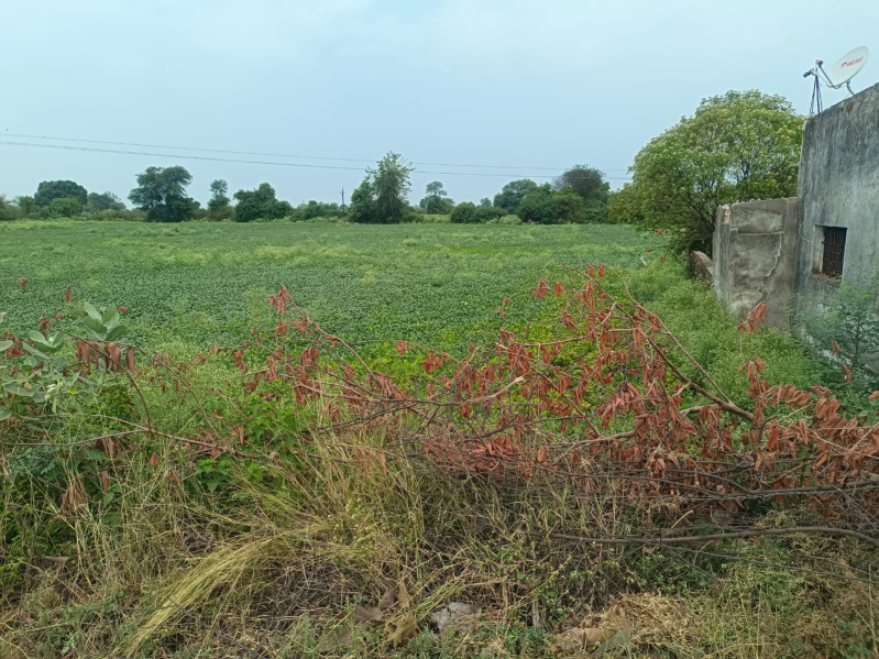  Agricultural Land 5 Acre for Sale in Shahpura, Jabalpur
