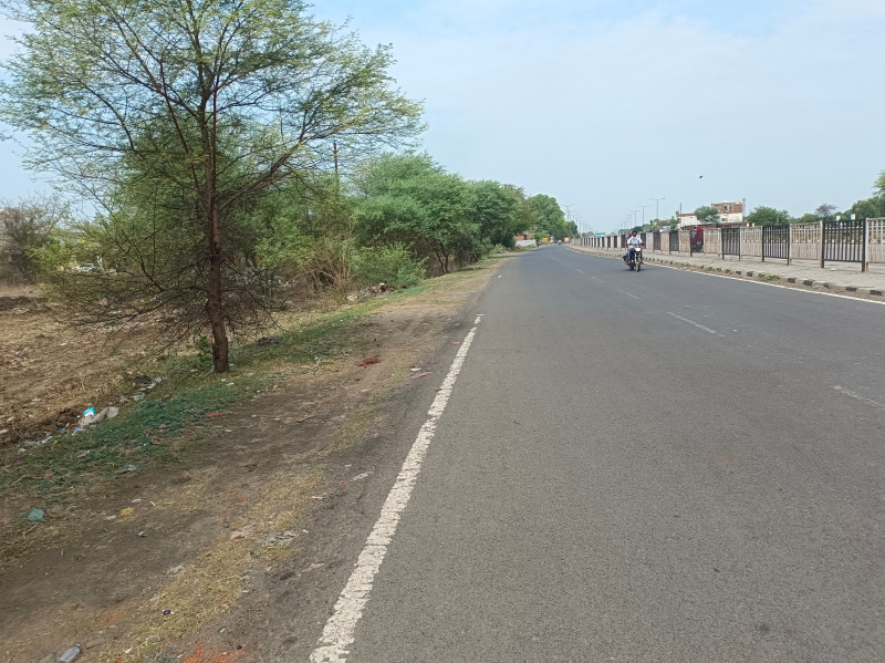  Agricultural Land 52 Ares for Sale in Shahpura, Jabalpur