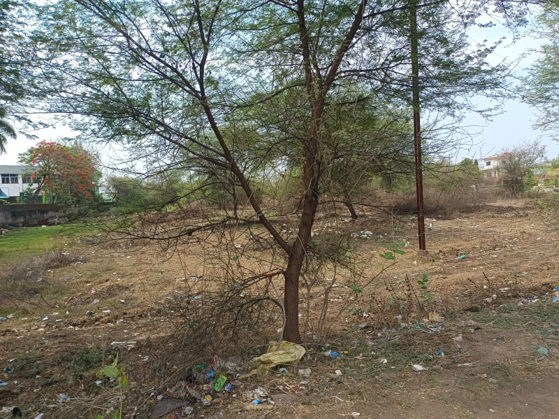 Agricultural Land 52 Ares for Sale in Shahpura, Jabalpur
