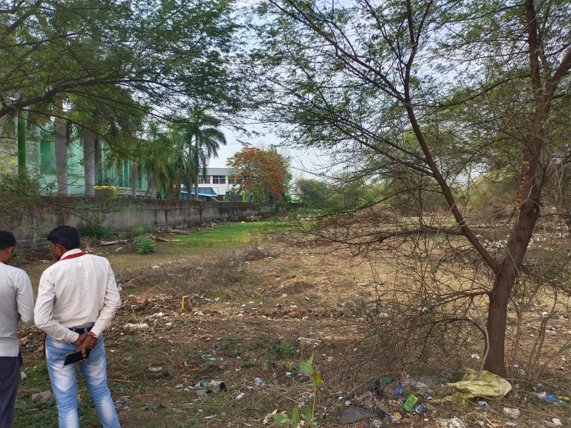  Agricultural Land 52 Ares for Sale in Shahpura, Jabalpur