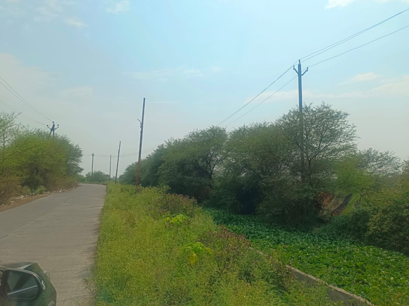  Agricultural Land 40 Ares for Sale in Adhartal, Jabalpur