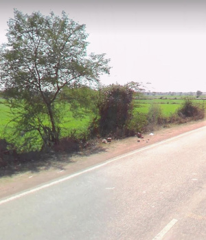  Industrial Land for Sale in Bhitarwar, Gwalior