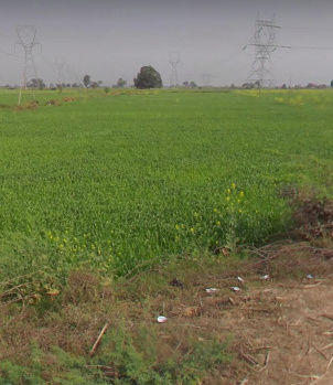  Agricultural Land for Sale in Bhitarwar, Gwalior