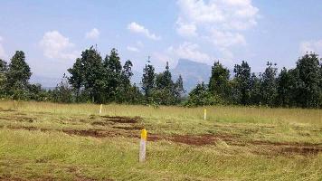  Agricultural Land for Sale in Kalyan Dombivali, Thane