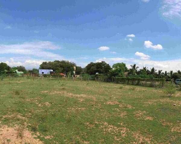 Industrial Land 250 Sq. Meter for Sale in