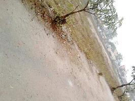  Agricultural Land for Sale in Garh Road, Meerut