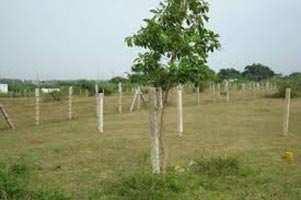  Residential Plot for Sale in Lohegaon, Pune