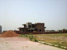  Residential Plot for Sale in Sector 19, Sonipat