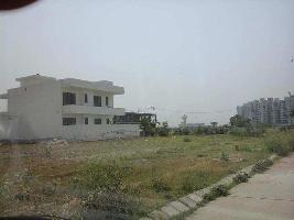  Residential Plot for Sale in Sector 18 Sonipat