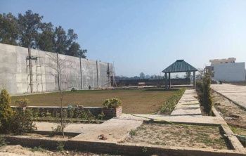  Residential Plot for Sale in Rama Mandi, Jalandhar