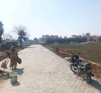  Residential Plot for Sale in Verka Milk Plant, Jalandhar