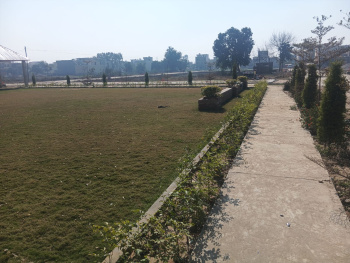  Residential Plot for Sale in Rama Mandi, Jalandhar