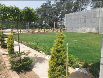 4 BHK House for Sale in Rama Mandi, Jalandhar