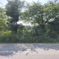  Commercial Land for Sale in Savina, Udaipur