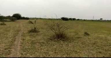  Agricultural Land for Sale in Bavla, Ahmedabad