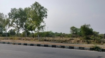  Agricultural Land for Sale in Mavli, Udaipur