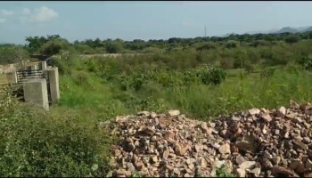  Agricultural Land for Sale in Ganapati Nagar, Udaipur