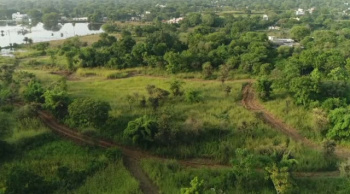  Agricultural Land for Sale in Bhuwana, Udaipur