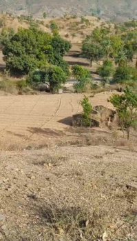  Agricultural Land for Sale in Mansarovar, Udaipur
