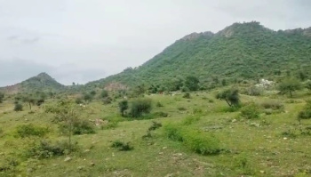  Agricultural Land for Sale in Mavli, Udaipur