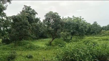  Agricultural Land for Sale in Vallabhnagar, Udaipur