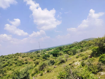  Agricultural Land for Sale in Kumbhalgarh, Rajsamand