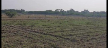  Agricultural Land for Sale in Mavli, Udaipur