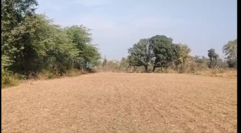  Agricultural Land for Sale in Girwa, Udaipur