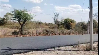  Agricultural Land for Sale in Mavli, Udaipur