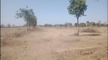  Agricultural Land for Sale in Mavli, Udaipur