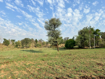  Agricultural Land for Sale in Kurabad, Udaipur