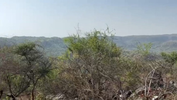  Agricultural Land for Sale in godch, Udaipur, Udaipur