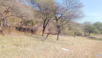  Agricultural Land for Sale in Nathdwara, Rajsamand