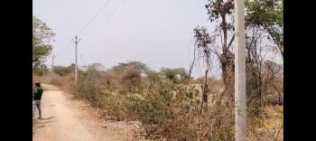  Agricultural Land for Sale in Mavli, Udaipur