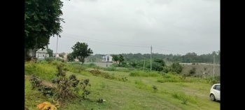  Agricultural Land for Sale in Rishabhdev, Udaipur