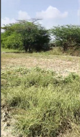 Agricultural Land for Sale in Jawal, Sirohi
