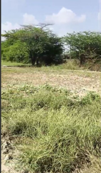  Agricultural Land for Sale in Jawal, Sirohi