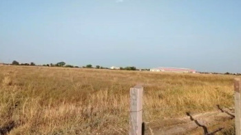 Agricultural Land for Sale in Bhatewar, Udaipur