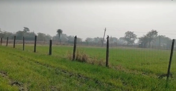  Agricultural Land for Sale in Bhatewar, Udaipur