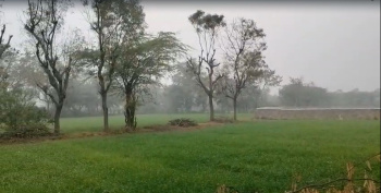 Agricultural Land for Sale in Dabok, Udaipur