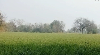  Agricultural Land for Sale in Bhinder, Udaipur