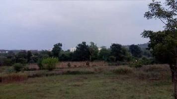  Agricultural Land for Sale in Kodiyat, Udaipur