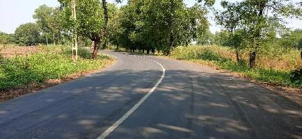  Agricultural Land for Sale in Dabok, Udaipur