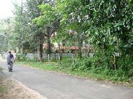  Residential Plot for Sale in Mavelikkara, Alappuzha