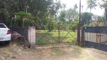  Residential Plot for Sale in Aluva, Kochi