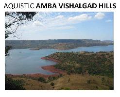  Agricultural Land for Sale in Amba, Kolhapur